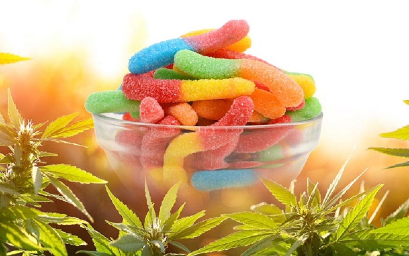 How to Choose the Best Delta 8 Edibles?